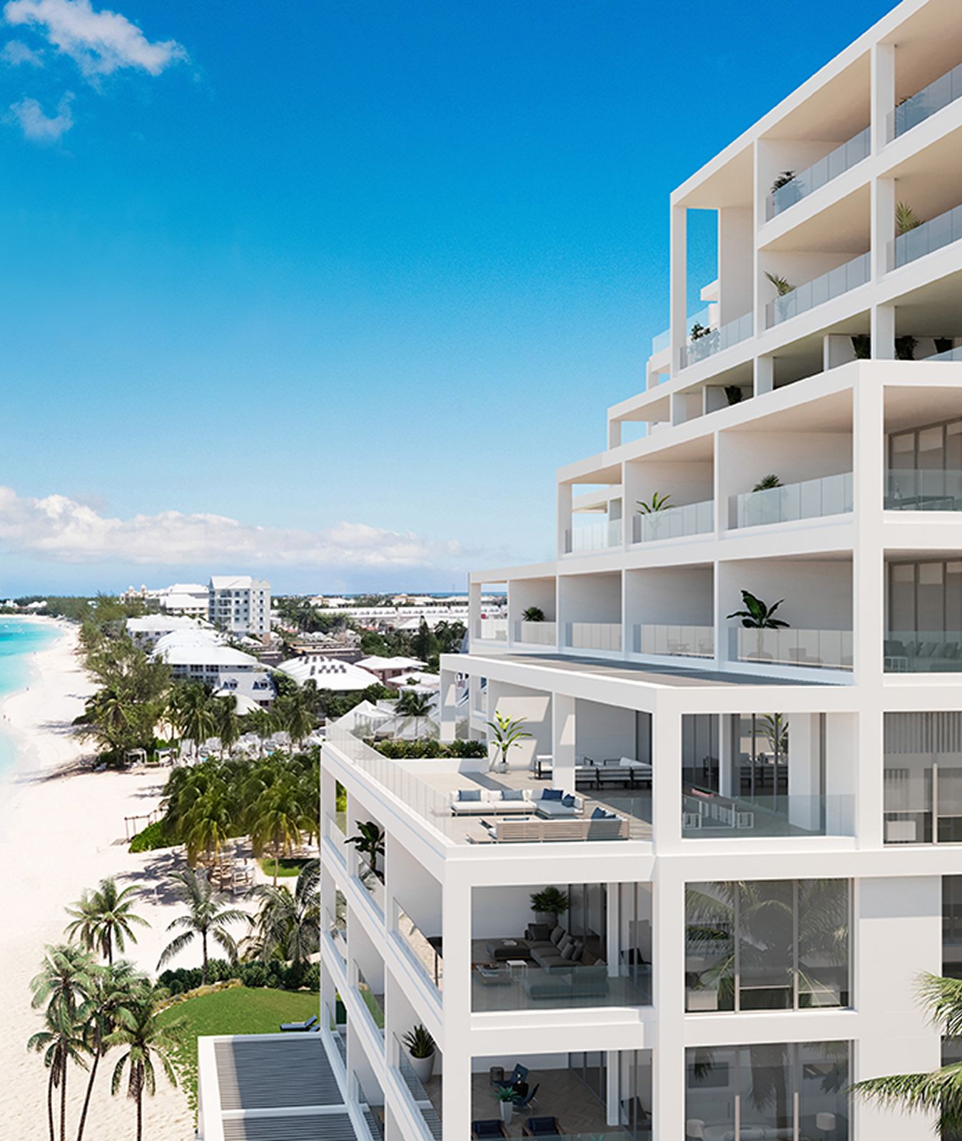 Lacovia from the side